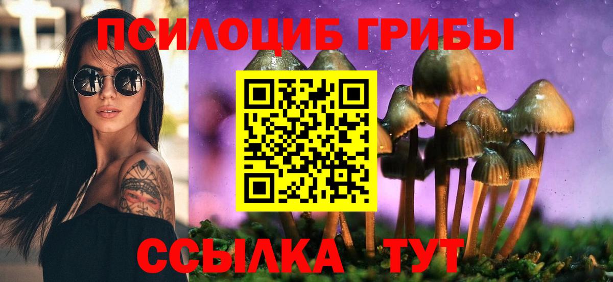 Анапа  Псилоцибиновые грибы GOLDEN TEACHER  Вход с VPN 